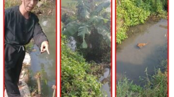 Sawah Rusak, Janji Tak Kunjung Datang: Ahli Waris Desak DLH dan Pemkab Bandung Barat Bertindak